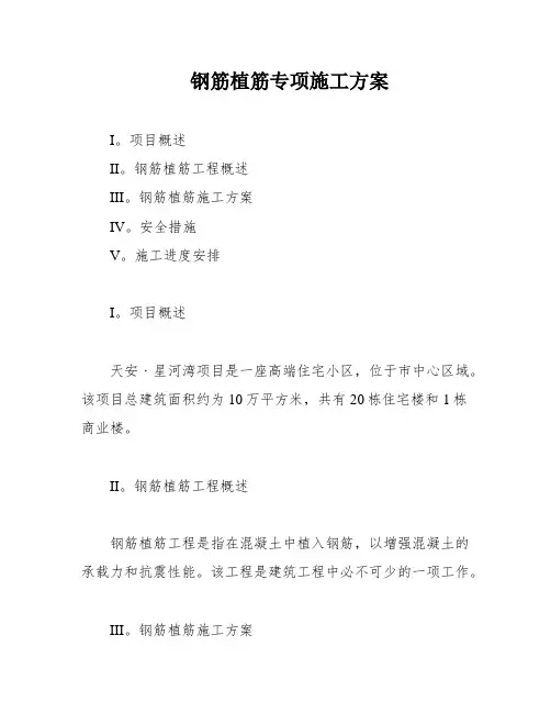 钢筋植筋专项施工方案