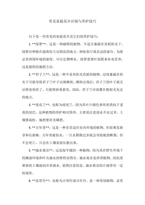 常见家庭花卉识别与养护技巧