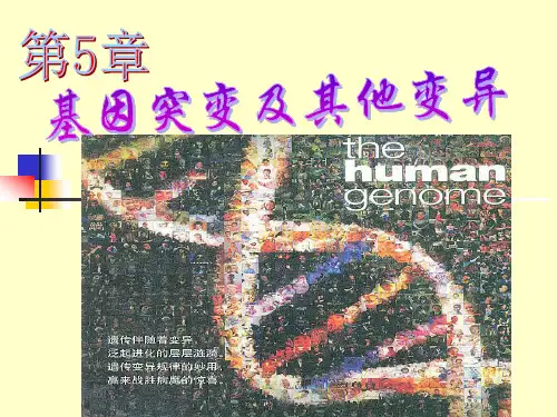 表现型=基因型环境条件课件