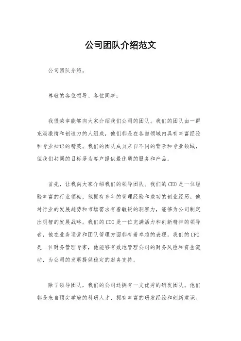 公司团队介绍范文