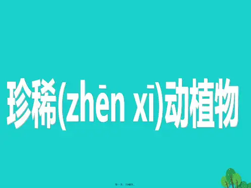 六年级科学上册珍稀动植物课件4青岛版