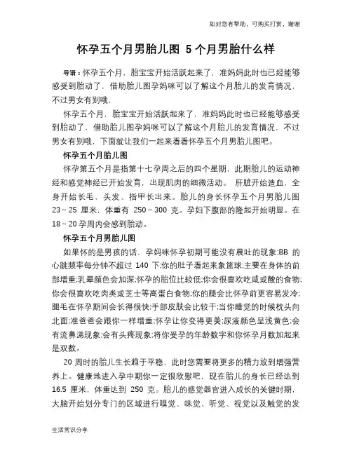 怀孕五个月男胎儿图 5个月男胎什么样