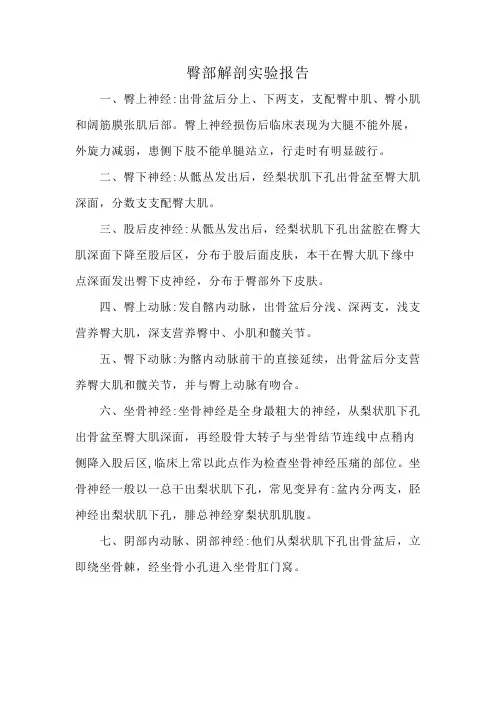 臀部解剖实验报告