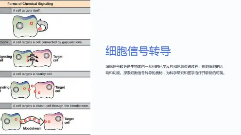 生物化学课件19第十九章 细胞信号转导