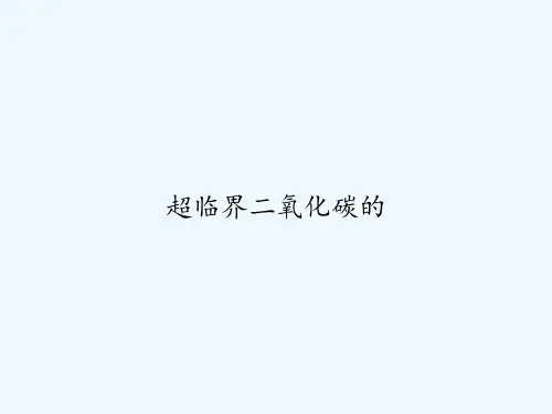 超临界二氧化碳的 PPT