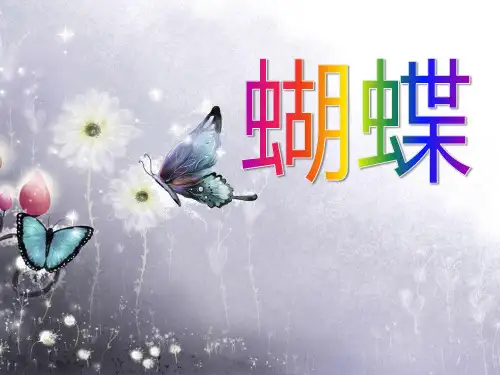 《蝴蝶》PPT课件4
