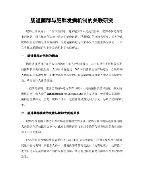 肠道菌群与肥胖发病机制的关联研究