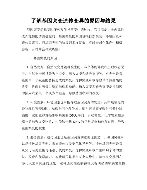 了解基因突变遗传变异的原因与结果