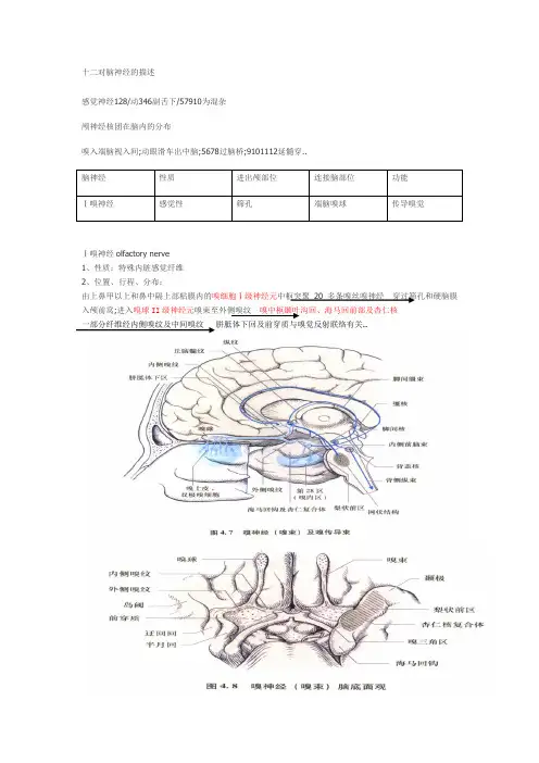 十二对脑神经-整理版