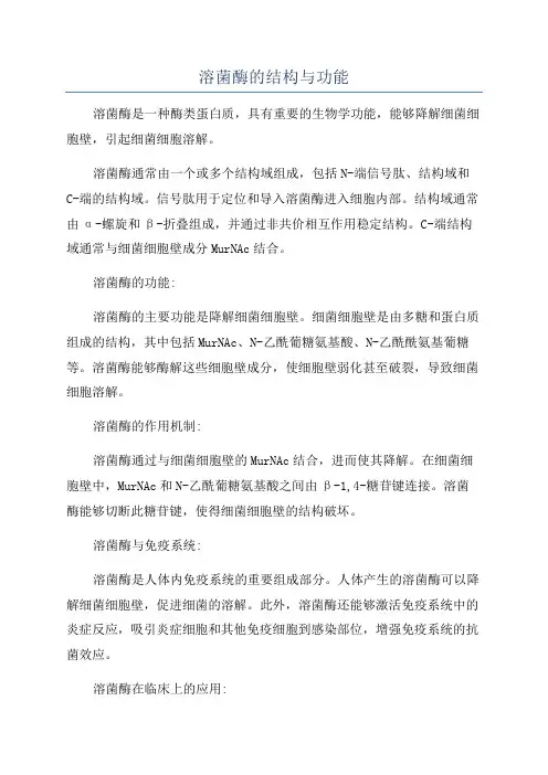 溶菌酶的结构与功能