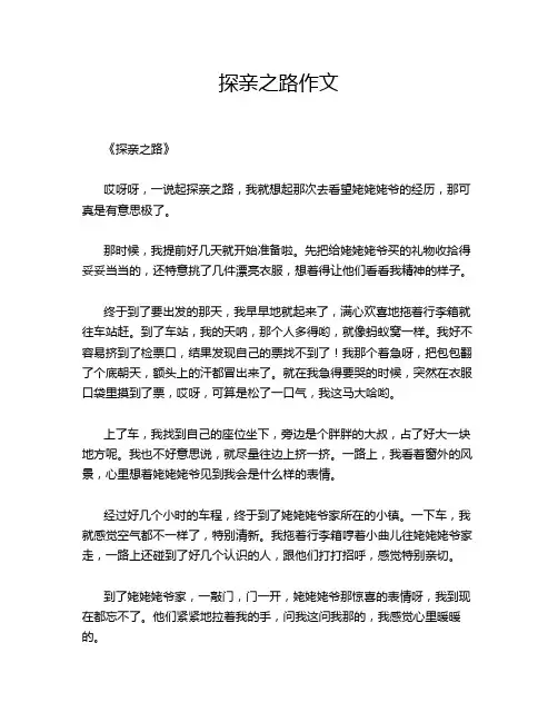 探亲之路作文