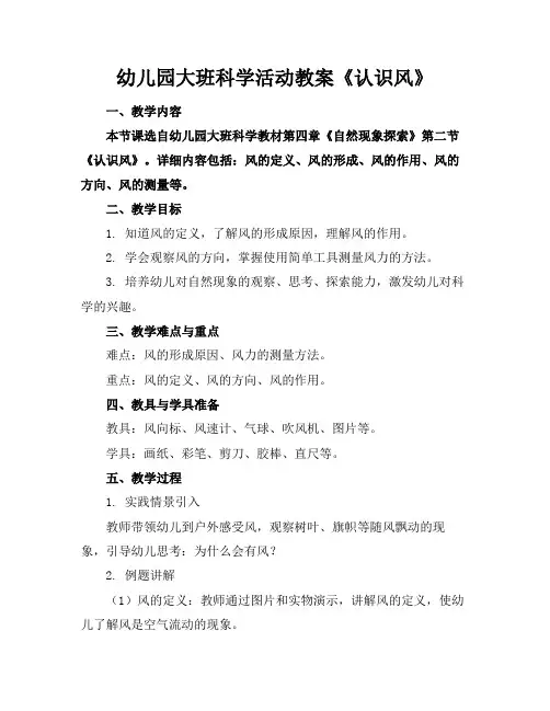 幼儿园大班科学活动教案《认识风》