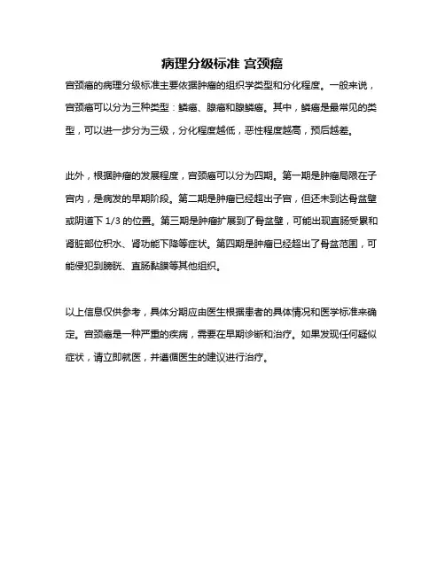 病理分级标准 宫颈癌