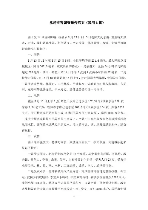 洪涝灾害调查报告范文(3篇)范文精选