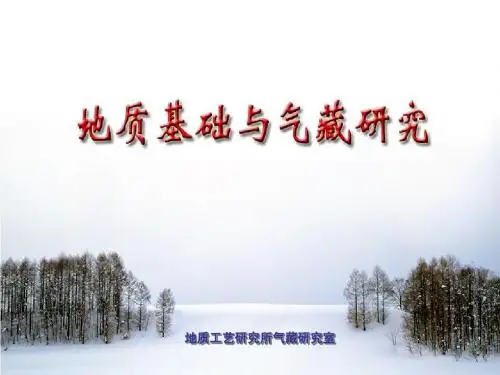 地质基础与气藏研究培训