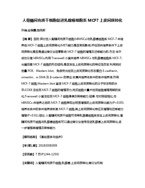 人骨髓间充质干细胞促进乳腺癌细胞系MCF7上皮间质转化