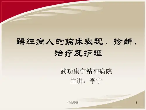 躁狂症的护理PPT[荟萃精制]