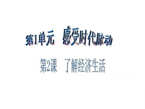 九年级思想品德全册(北师大版)课件：第2课 第1站 打开财富之门