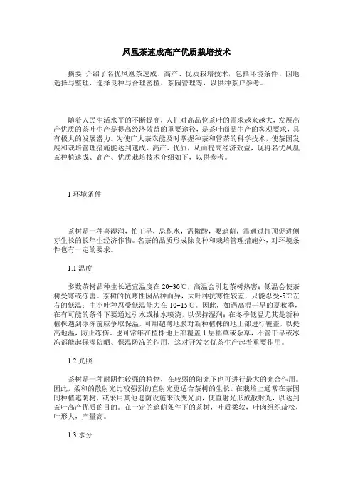 凤凰茶速成高产优质栽培技术