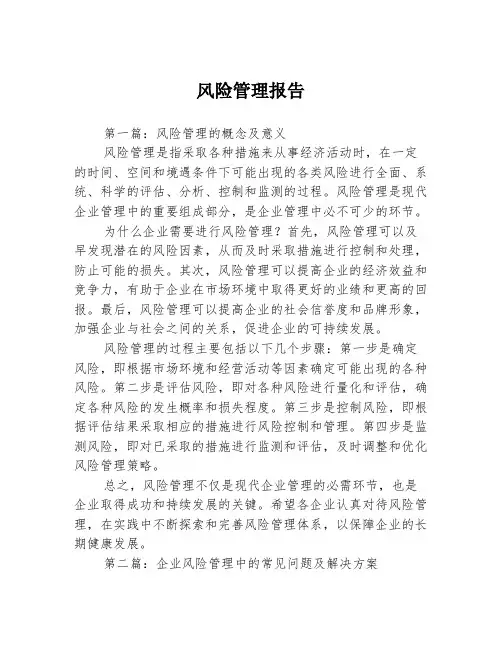 风险管理报告3篇