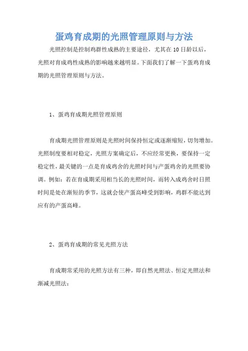 蛋鸡育成期的光照管理原则与方法
