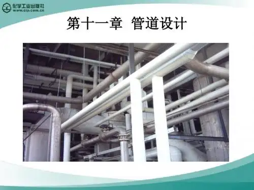 高分子材料加工厂设计(徐德增)第十一章__管道设计1