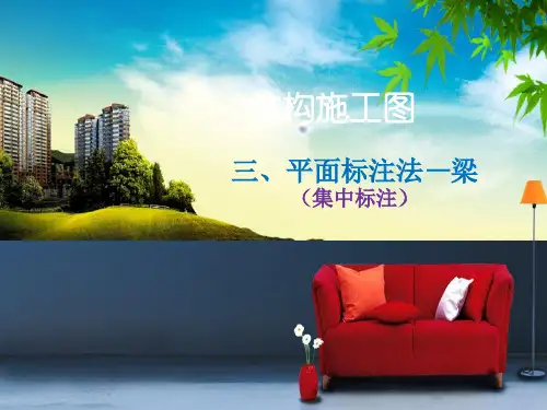建筑工程梁平法识图8