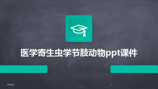 2024年度医学寄生虫学节肢动物ppt课件