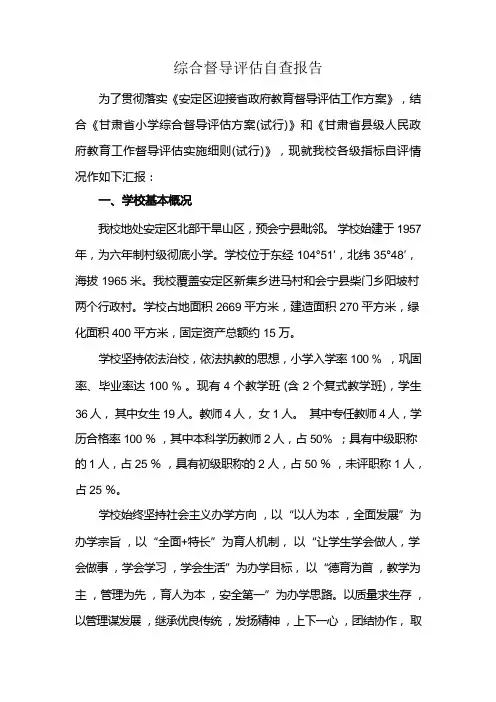 综合督导评估自查报告