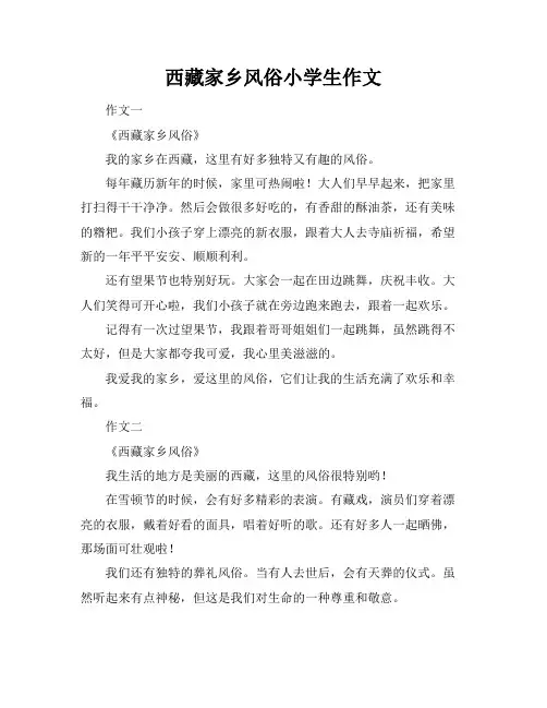 西藏家乡风俗小学生作文