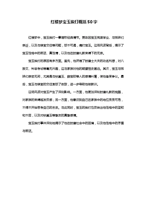 红楼梦宝玉挨打概括50字