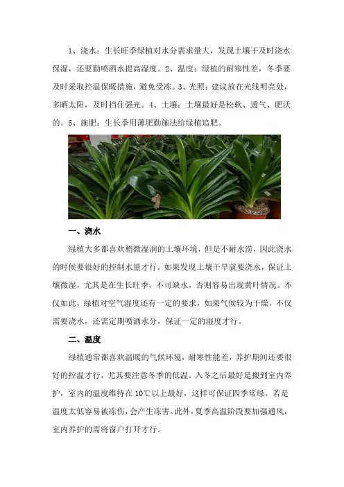 绿植养护知识和方法