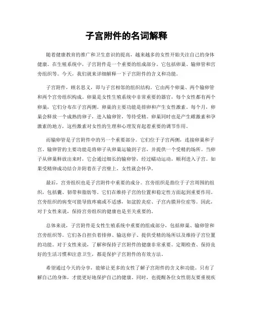 子宫的名词解释
