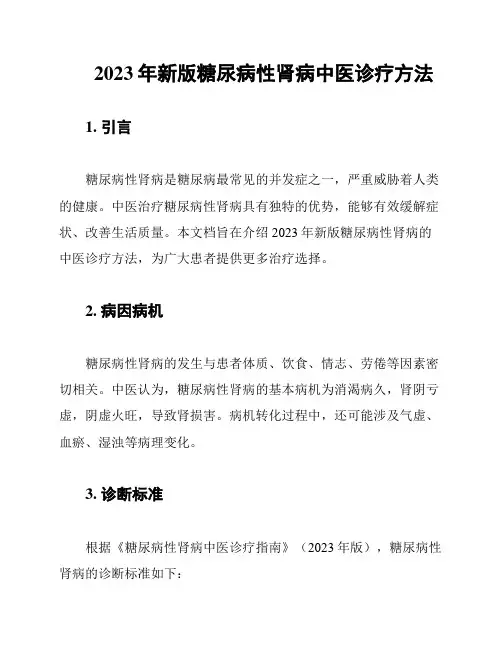 2023年新版糖尿病性肾病中医诊疗方法