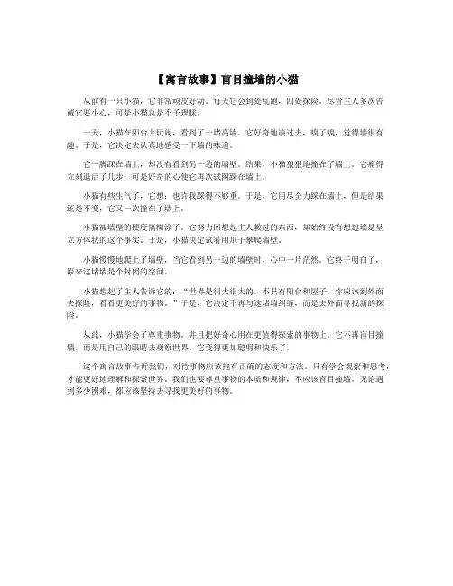 【寓言故事】盲目撞墙的小猫