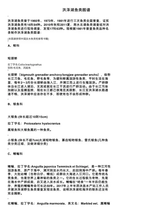 洪泽湖鱼类图谱