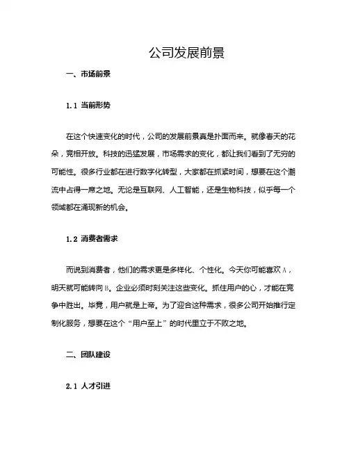 公司发展前景