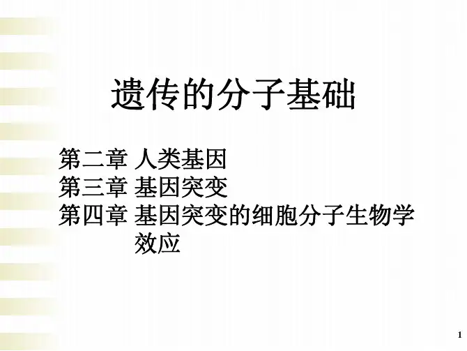 第二-四章 遗传的分子基础