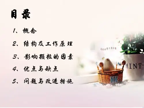 一步制粒机的制粒原理与优缺点ppt课件