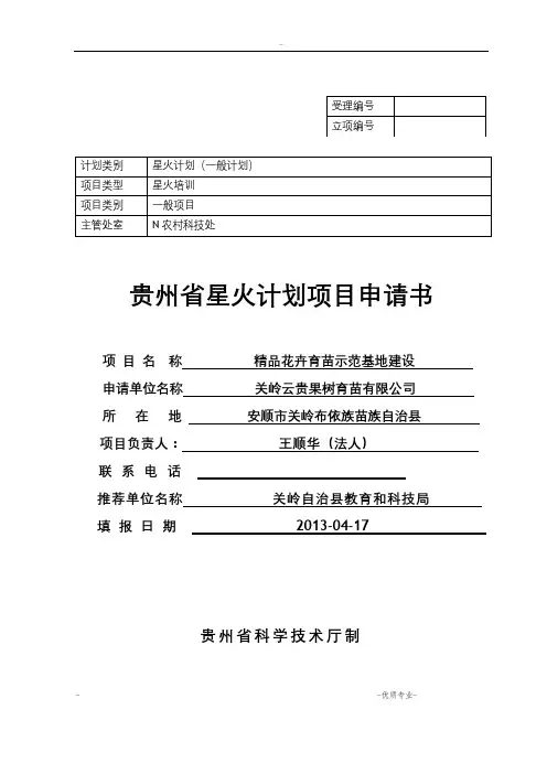 星火计划项目申请书