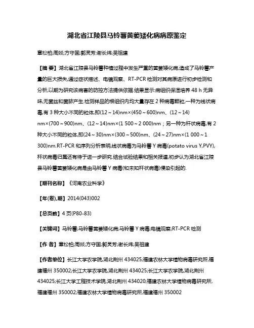 湖北省江陵县马铃薯黄萎矮化病病原鉴定