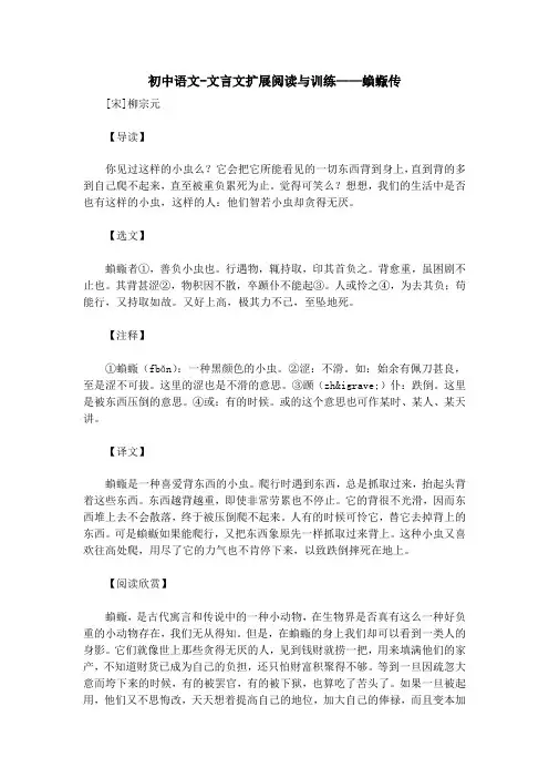 初中语文-文言文扩展阅读与训练——蝜蝂传