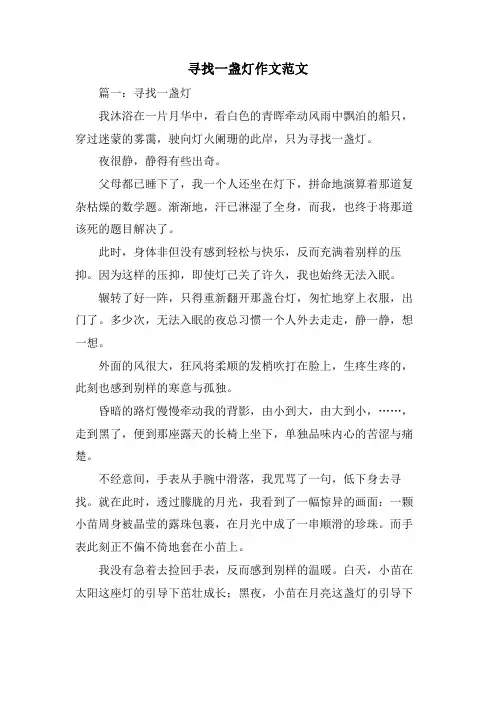 寻找一盏灯作文范文