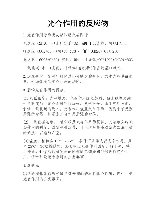 光合作用的反应物