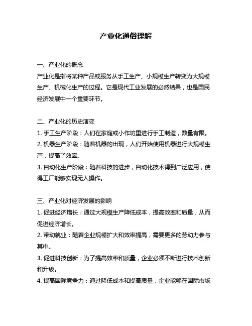 产业化通俗理解