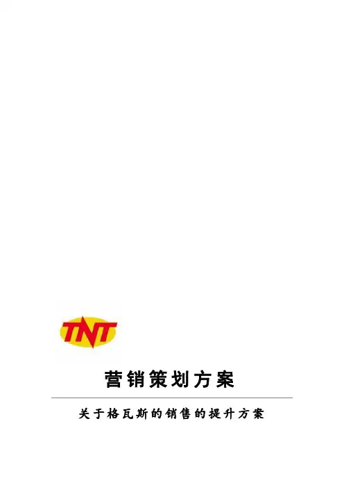 哇哈哈格瓦斯营销策划方案