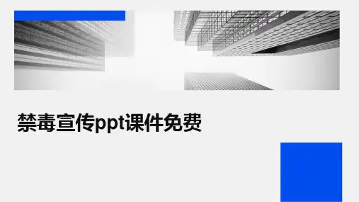 禁毒宣传ppt课件免费