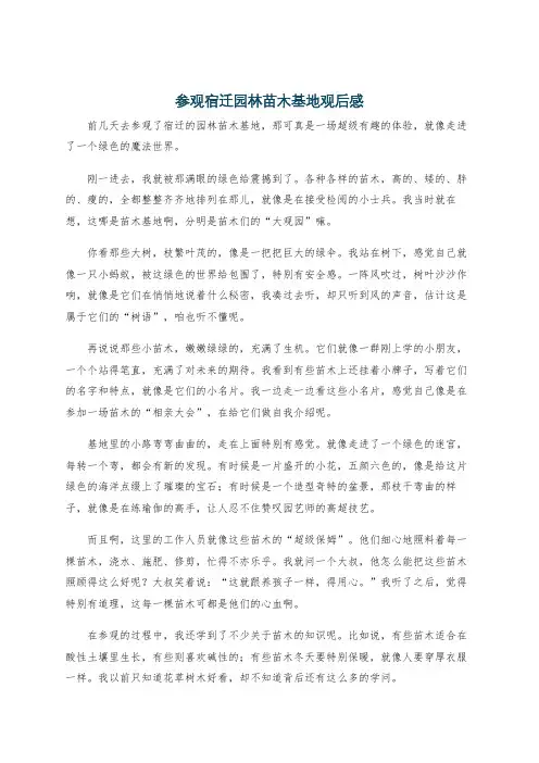 参观宿迁园林苗木基地观后感