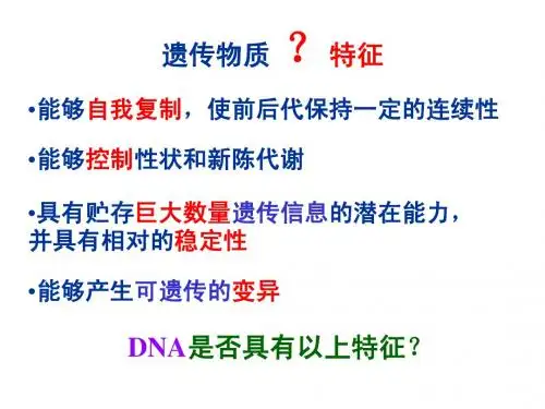 DNA分子的结构