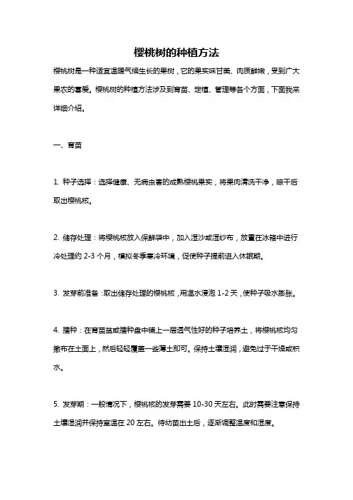 樱桃树的种植方法